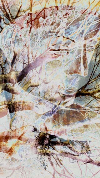 Vine whose destiny is the top art galleries in Hong Kong, London, Paris, Rome and New York City.